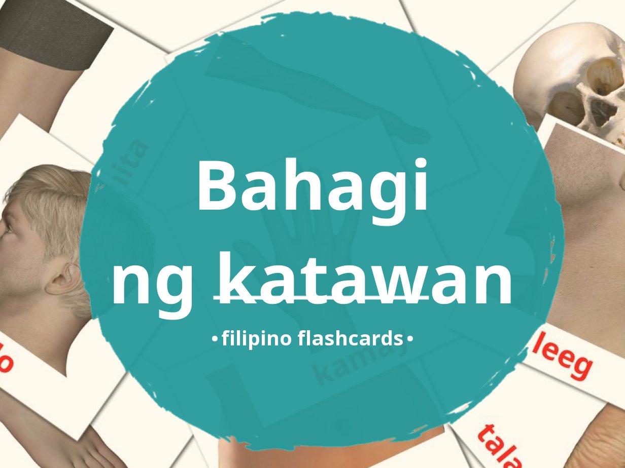26-free-body-parts-flashcards-in-4-pdf-formats-filipino-pictures