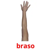 braso cartões com imagens