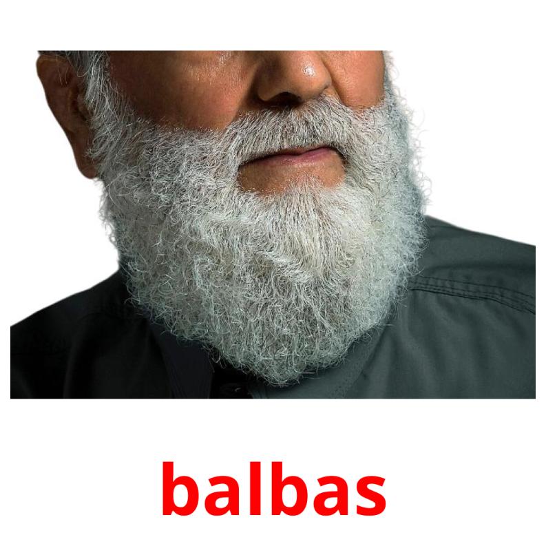 balbas picture flashcards