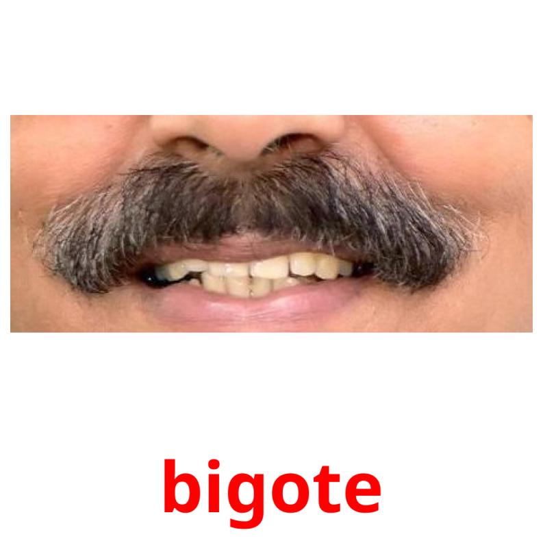 bigote Tarjetas didacticas
