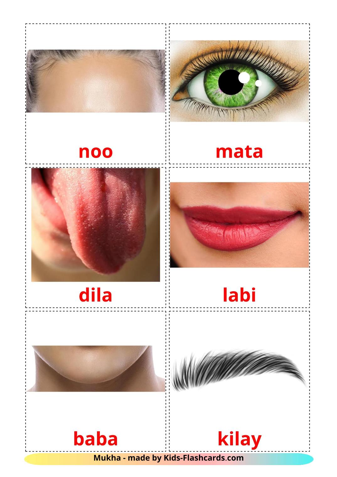 Face - 20 Free Printable filipino Flashcards 