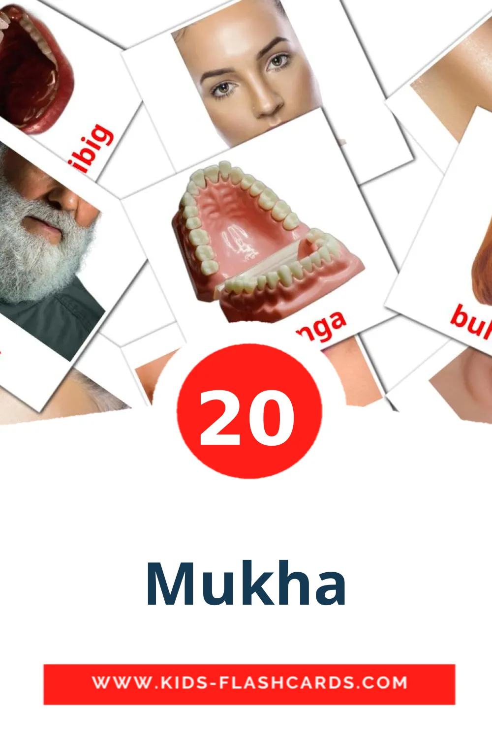 20 Mukha Picture Cards for Kindergarden in filipino