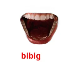 bibig picture flashcards