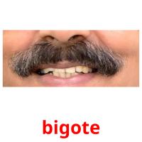 bigote card for translate