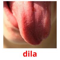 dila card for translate