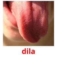 dila picture flashcards