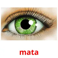 mata picture flashcards