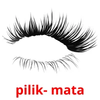 pilik- mata picture flashcards