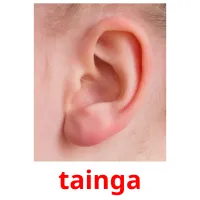 tainga picture flashcards