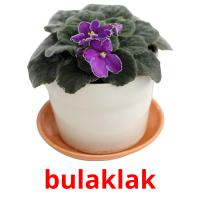 bulaklak карточки энциклопедических знаний