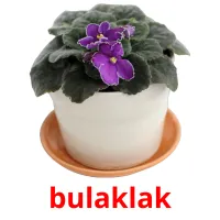 bulaklak cartões com imagens