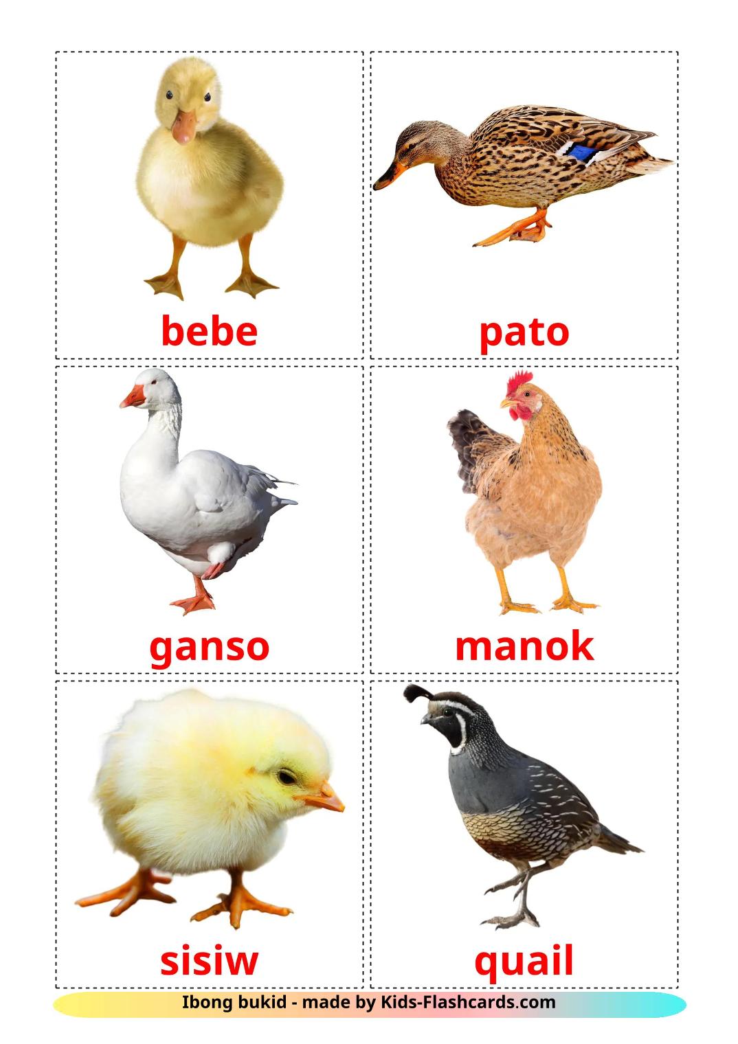 Farm birds - 12 Free Printable filipino Flashcards 