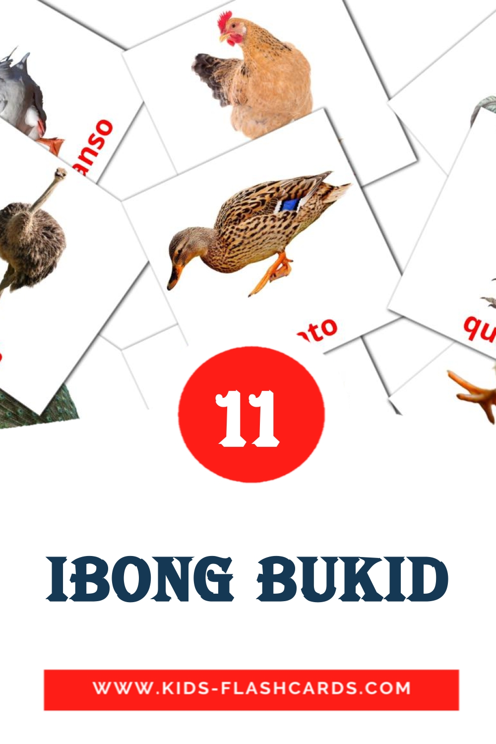 ibong bukid на филиппинском для Детского Сада (11 карточек)