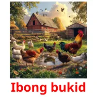 Ibong bukid picture flashcards