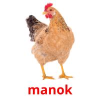manok card for translate
