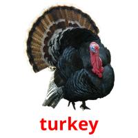 turkey card for translate