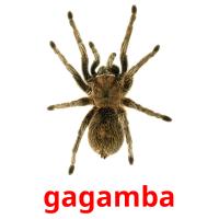 gagamba card for translate