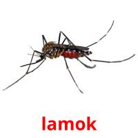 lamok picture flashcards