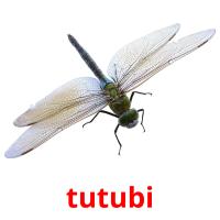 tutubi card for translate