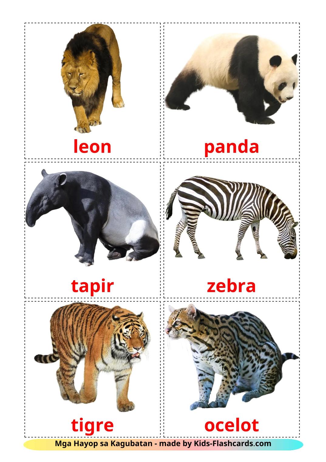 Animais da Selva - 22 Flashcards filipinoes gratuitos para impressão