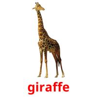 giraffe card for translate