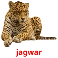 jagwar cartões com imagens