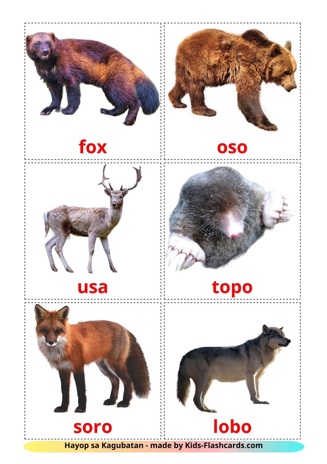 Forest animals - 22 Free Printable татарском Flashcards 