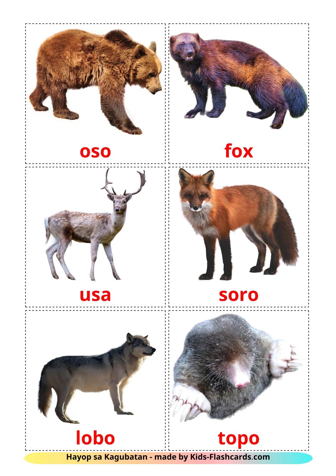 Animais da Floresta - 23 Flashcards filipinoes gratuitos para impressão