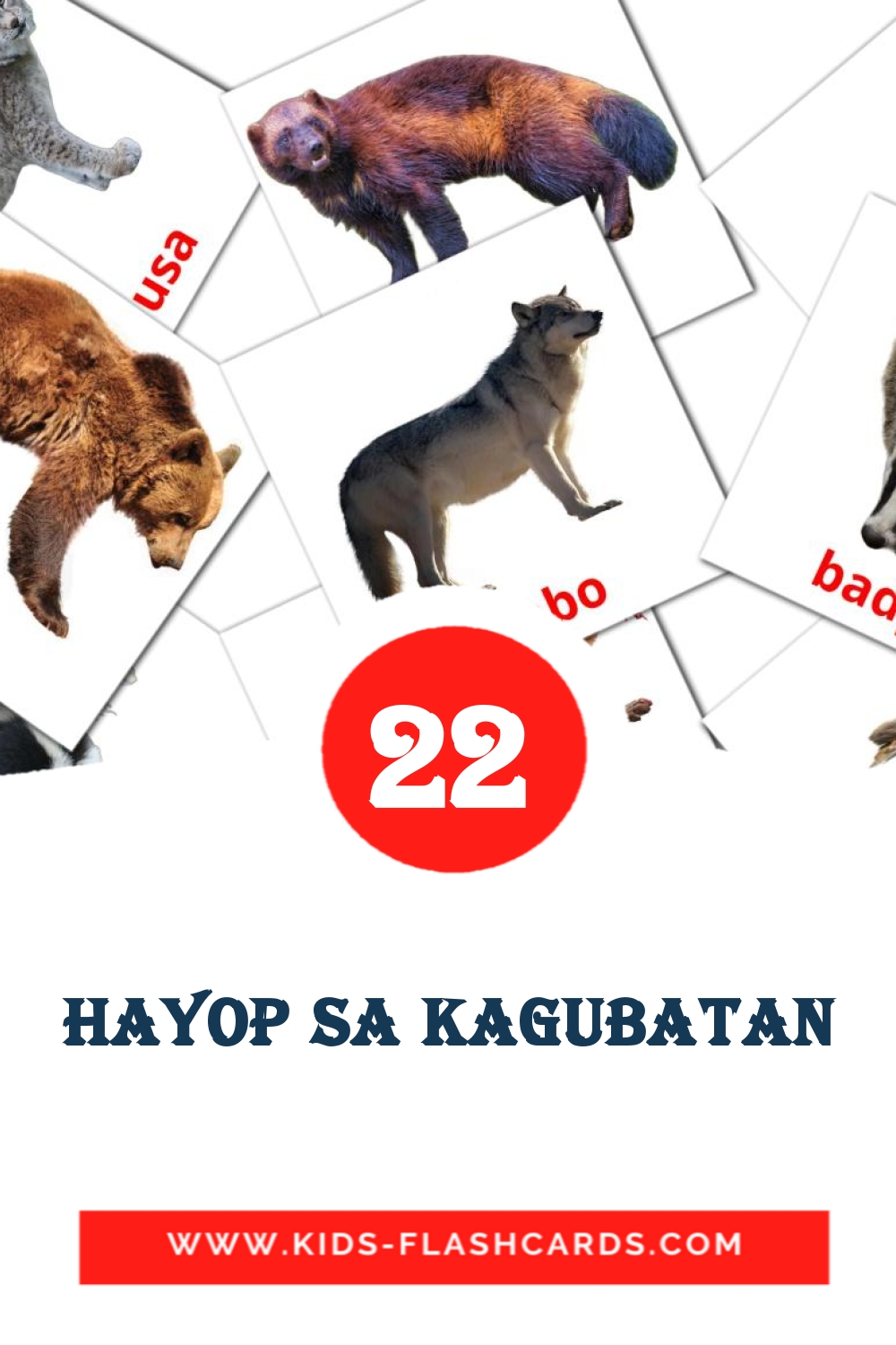 22 cartes illustrées de Hayop sa Kagubatan pour la maternelle en philippin