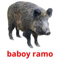 baboy ramo picture flashcards