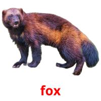 fox flashcards illustrate