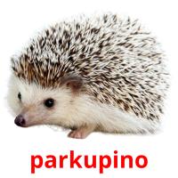 parkupino picture flashcards