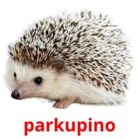 parkupino cartões com imagens