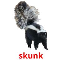 skunk flashcards illustrate