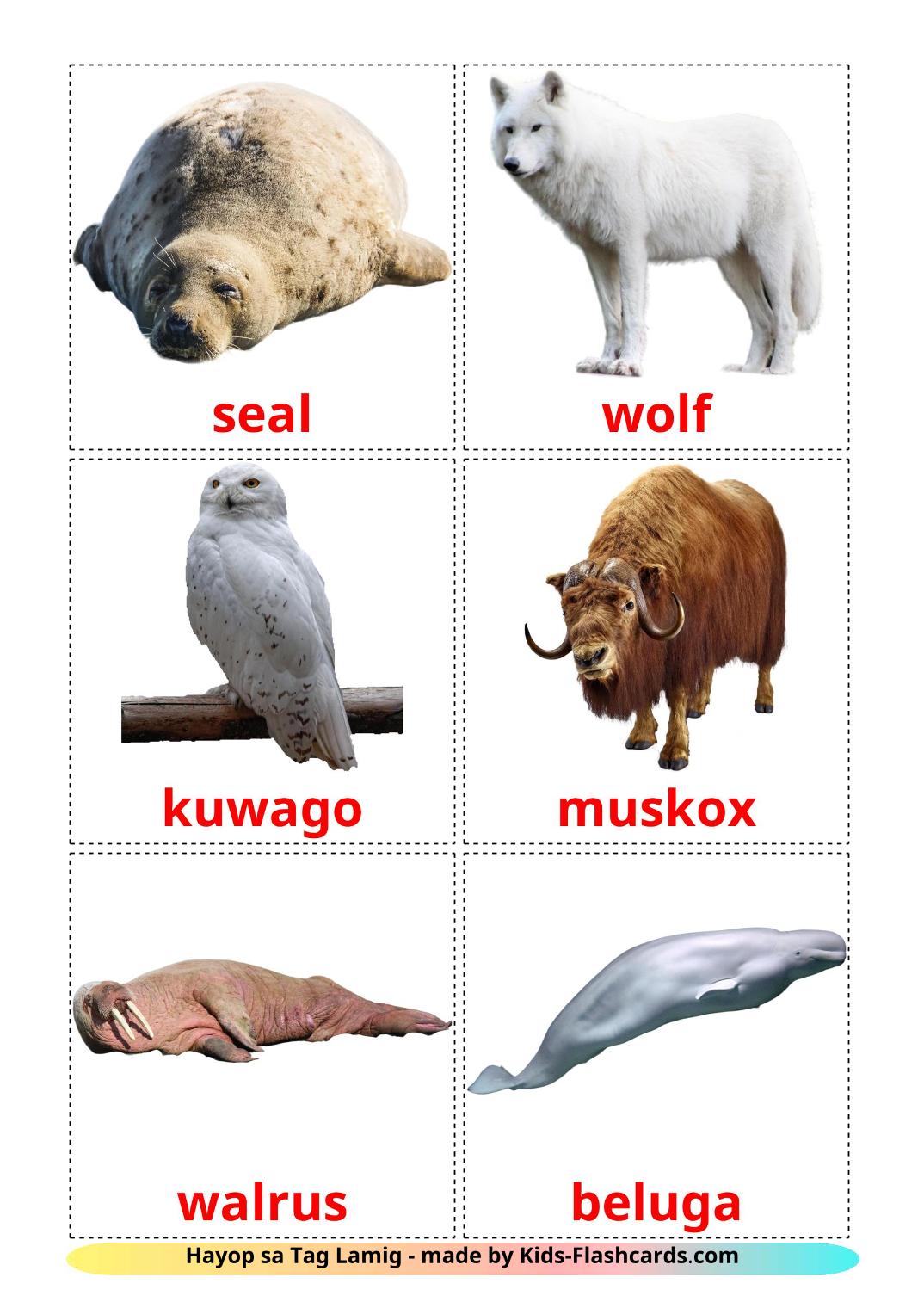 Arctic animals - 14 Free Printable filipino Flashcards 