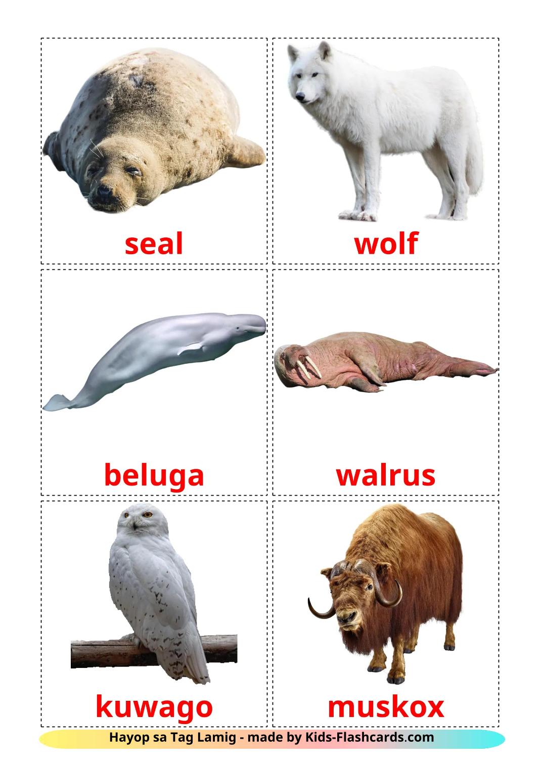 Animais do Ártico - 15 Flashcards filipinoes gratuitos para impressão