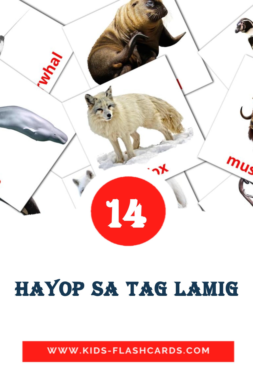 14 Cartões com Imagens de Hayop sa Tag Lamig para Jardim de Infância em filipino