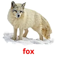 fox cartões com imagens