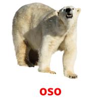 oso picture flashcards