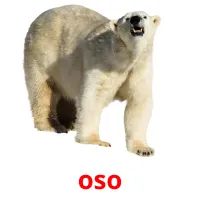 oso cartões com imagens