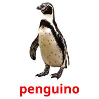 penguino picture flashcards