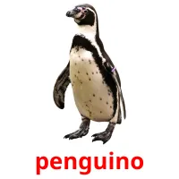 penguino cartões com imagens