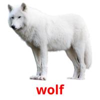 wolf cartões com imagens