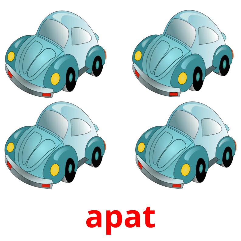 apat picture flashcards