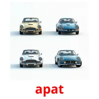 apat picture flashcards