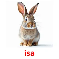 isa picture flashcards