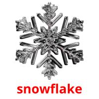 snowflake picture flashcards