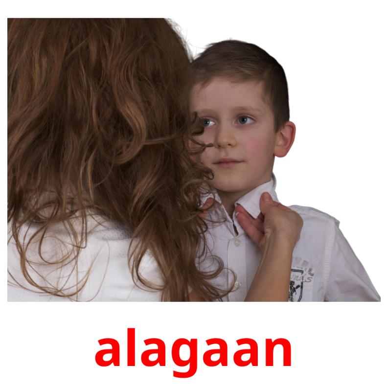 alagaan picture flashcards