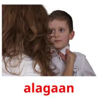 alagaan flashcards illustrate