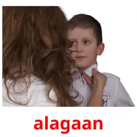 alagaan picture flashcards